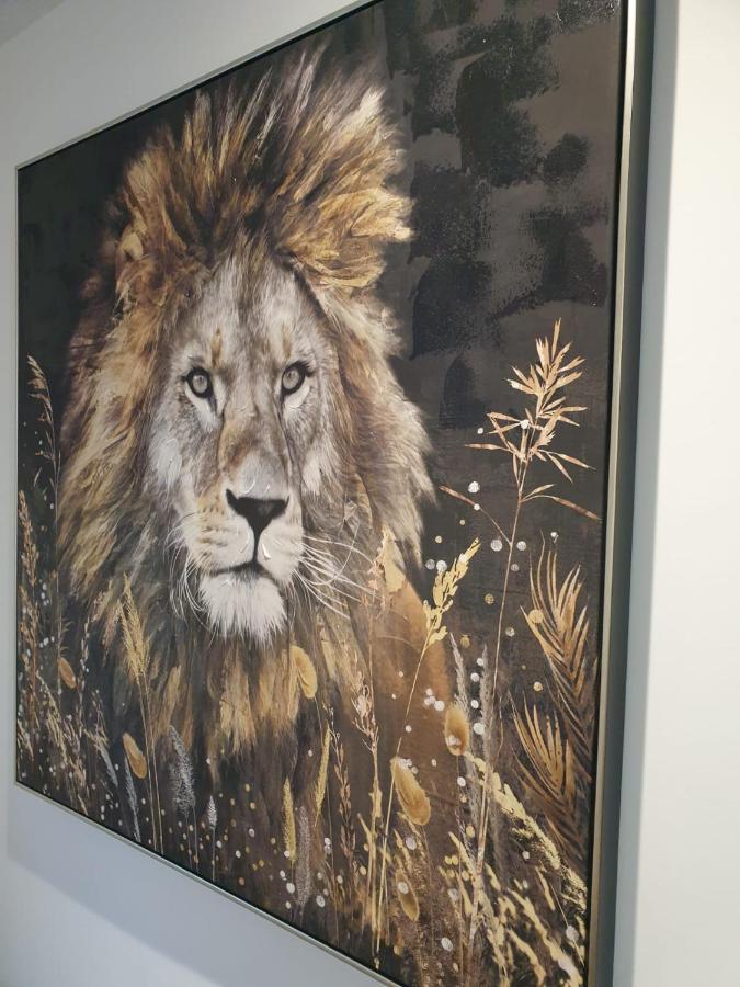 Le Jungle Appartement Pamiers Buitenkant foto